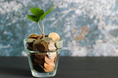 plant growing in a cup of coins image